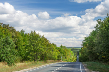 Road through the forest