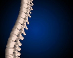 Skeletal human spine on Black 3D Rendering