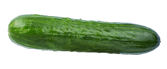 Fresh cucumber isolated on white background with clipping path