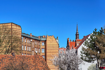 a white-flowered tree and a red brick house with a tower in Poznan.