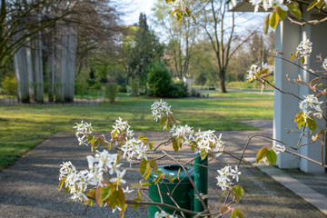 Blick über einen Friedhof  © Blende8