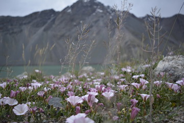 natureza