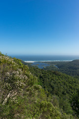 Fynbos bush with ocean and lagoon view and forest mountains