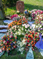 Viele schöne Kränze mit Schleifen  © Blende8