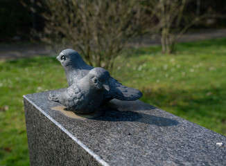 Zwei Vögel auf dem Grabstein  © Blende8