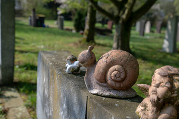 Schnecke auf einem Grabstein  © Blende8