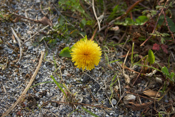beach in spain , natural and beauty