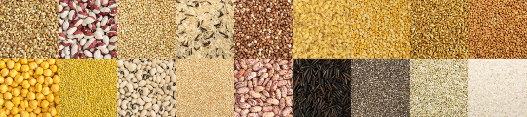 Big collection of different cereals and edible seeds