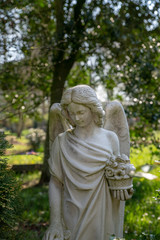 Fototapeta premium Schöner großer Engel