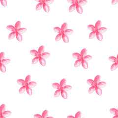 watercolor pink flowers on white background seamless pattern for fabric, textile, paper, wallpaper