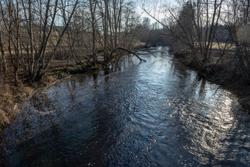 dirty forest river in spring