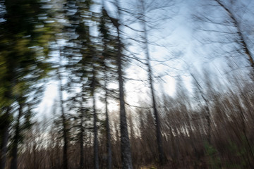 Obraz premium lens motion blur natural in nature background