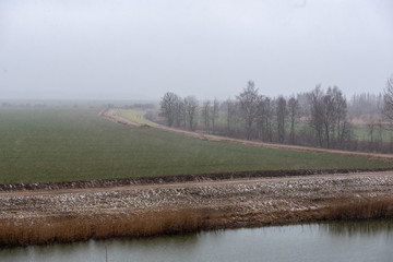 dirty forest river in spring