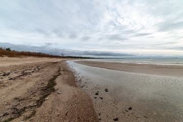 empty sea beach in autumn with lonely trees and rocks in sands