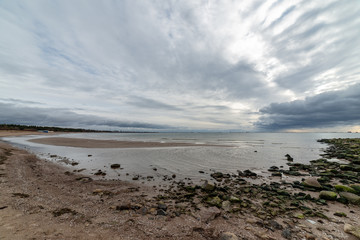 empty sea beach in autumn with lonely trees and rocks in sands