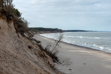 empty sea beach in autumn with lonely trees and rocks in sands