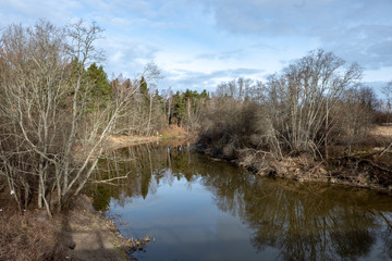 dirty forest river in spring