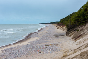 empty sea beach in autumn with lonely trees and rocks in sands