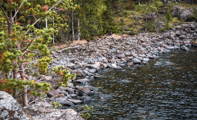 View of the autumn rocky coast