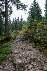 tourist trails in Slovakia Tatra mountains in autumn. cloudy day