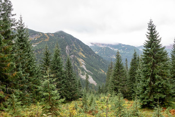 tourist trails in Slovakia Tatra mountains in autumn. cloudy day