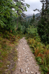 tourist trails in Slovakia Tatra mountains in autumn. cloudy day
