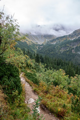 Fototapeta na wymiar tourist trails in Slovakia Tatra mountains in autumn. cloudy day