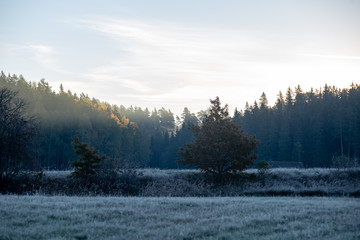 first winter frost in sunrise light in countryside