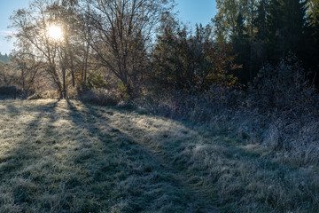 first winter frost in sunrise light in countryside