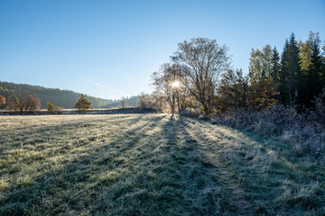 first winter frost in sunrise light in countryside