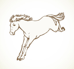 Obraz na płótnie Canvas Horse racing. Vector drawing