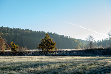 first winter frost in sunrise light in countryside