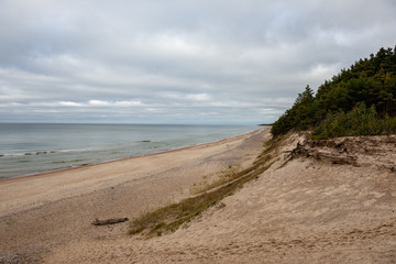 empty sea beach in autumn with lonely trees and rocks in sands