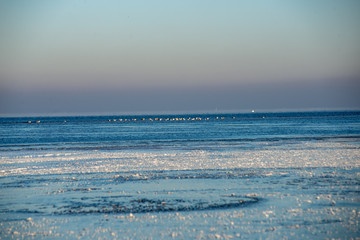 frozen sea beach in winter with low snow coverage