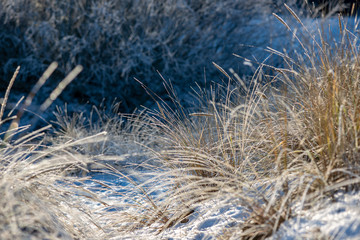 frozen sea beach in winter with low snow coverage