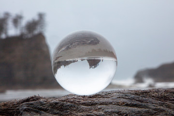 Upside Down PNW Coast