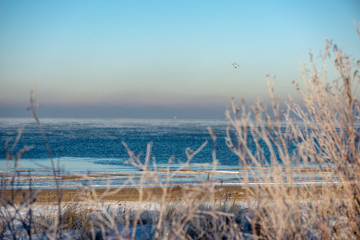 frozen sea beach in winter with low snow coverage
