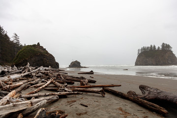 PNW Coastal Sea Stacks