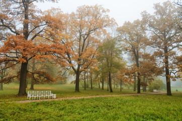 Autumn landscape in the Park.