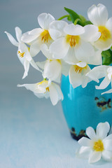 Lovely bunch of flowers .Close-up floral composition with a tulips .Beautiful whites fresh tulips in a blue ceramic vase.