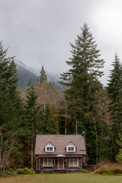 PNW Cabin In The Woods