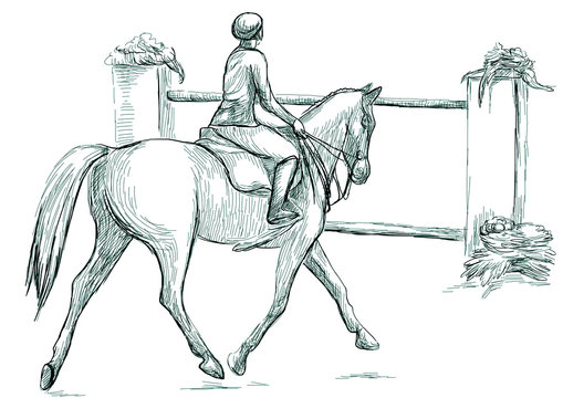Show Jumping, hand drawn illustration. Line art technique on white.