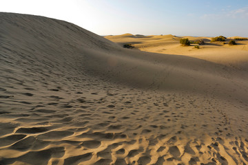 Summer background of sand and beach 