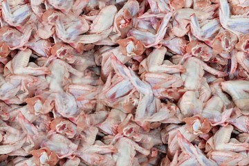 Cut chicken wings in the production. Meat products