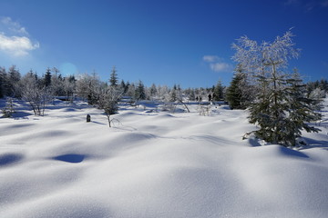 Fototapeta na wymiar Schneelandschaft