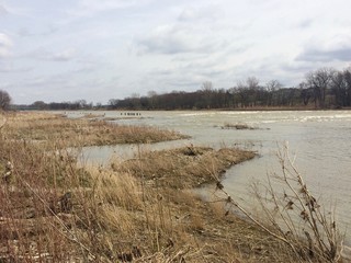 Maumee River Walleye Run