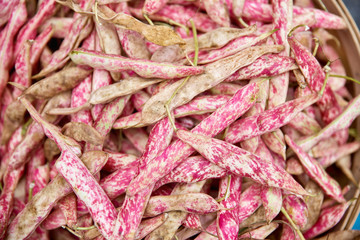 Textured background of vegetables, fresh pink beans.