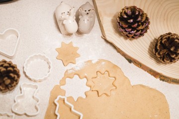 Fototapeta na wymiar home made sweet christmas ginger cookies in different shapes
