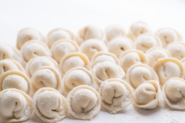  rows of frozen ravioli on a white background. Lots of Isolated Dumplings