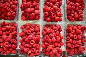 Freshly picked red raspberries on display at the farmers market